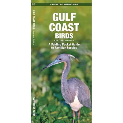 Gulf Coast Birds, 2nd Ed, Geheftet von James Kavanagh, Globe Pequot Publishing Group Inc, 978-1-62005-551-9