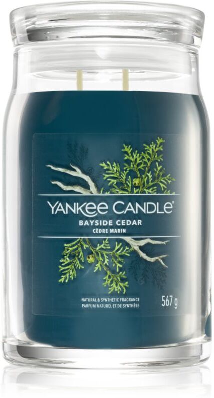 Yankee Candle Bayside Cedar Duftkerze Signature 567 g