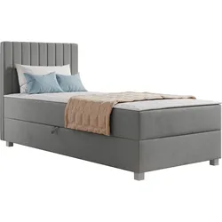 BOXBETT Viki - H3