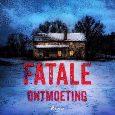 Fatale ontmoeting - Roan Botman,Karel Bedert,Lisanne Stokreef,Alexander Olbrechts, Audio, 4099995411799