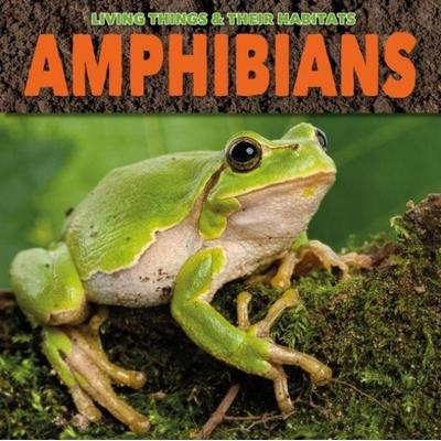 Amphibians, Taschenbuch von Grace Jones, The Secret Book Company, 978-1-912171-77-4