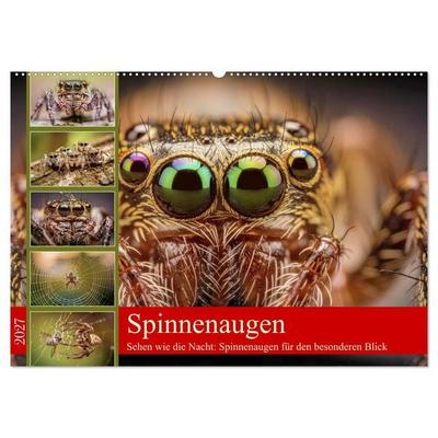 Spinnenaugen (Wandkalender 2027 DIN A2 quer), CALVENDO Monatskalender
