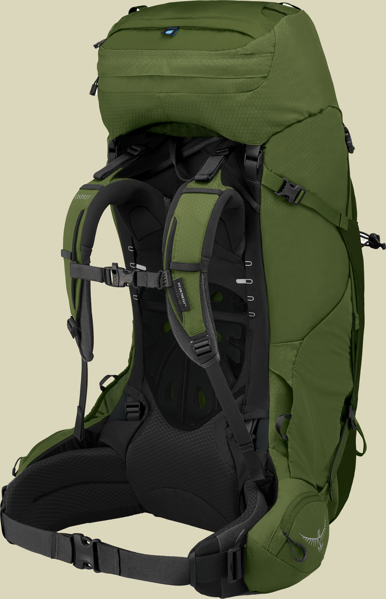 Osprey Aether 65 L Rucksack Reiserucksack Grün Nylon