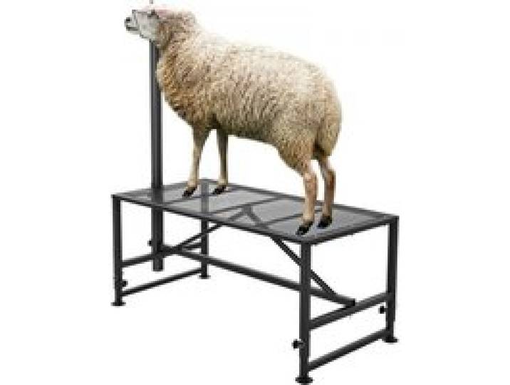 VEVOR Support pour chèvres et moutons, 1195x584 mm, support pour bétail, hauteur réglable 533-838 mm, support en métal pour traite tonte du bétail, charge 226 kg, avec têtière et boucle de nez, noir