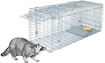 Multicon Wholesale Hub Heavy Duty Live Animal Trap, Extra Large Cage For Raccoons, Rabbits, Cats, Squirrels, Skunks, And More Heavy Duty Live Animal Trap, Extra Large Cage For Raccoons, Rabbits, Cats, Squirrels, Skunks, And More