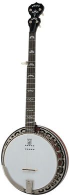 Deering Eagle II 5-String A/E