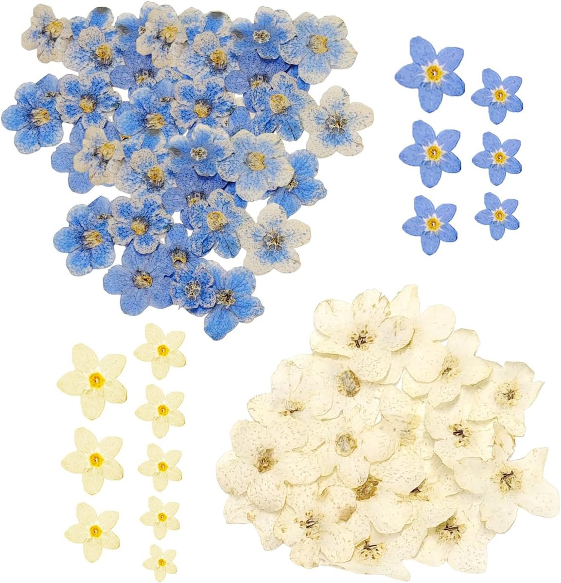 80 stuks mini gedroogde bloemen voor handwerk en decoratie, blauw