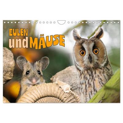 Eulen und Mäuse (Wandkalender 2027 DIN A4 quer), CALVENDO Monatskalender