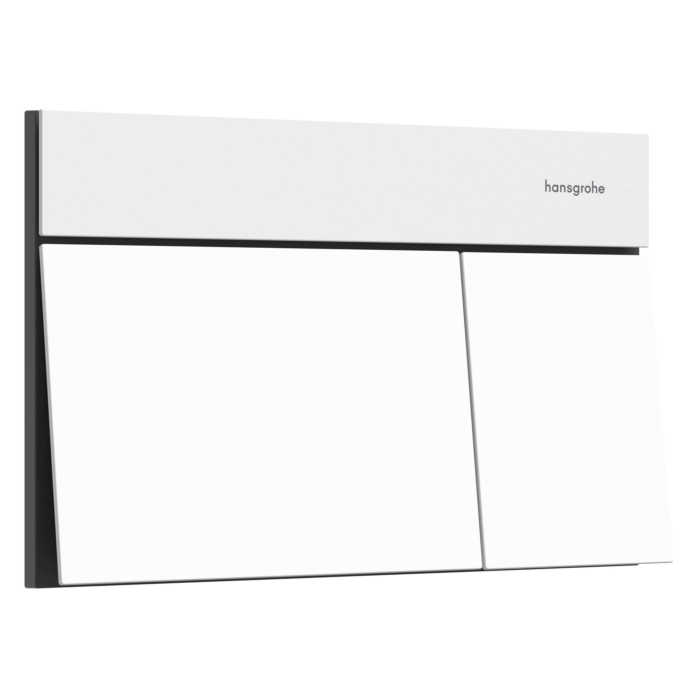 hansgrohe iFrame élément E Plaques de déclenchement pour chasse d'eau à 2 quantités, 66003700, 66003700 (66003700)