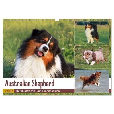 Australian Shepherd - Hütehunde mit Familienanschluss (Wandkalender 2027 DIN A3 quer), CALVENDO Monatskalender