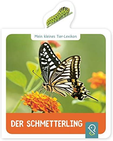Hannah Kastenhuber - Der Schmetterling: Mein kleines Tier-Lexikon - Preis vom 10.10.2026 11:48:34 h