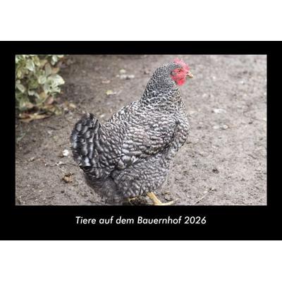 Tiere auf dem Bauernhof 2026 Fotokalender DIN A3