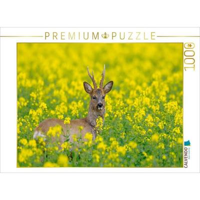 CALVENDO Puzzle Rehbock in einem Rapsfeld | 1000 Teile Lege-Größe 64x48cm Foto-Puzzle für glückliche Stunden, Game von , Calvendo Puzzle