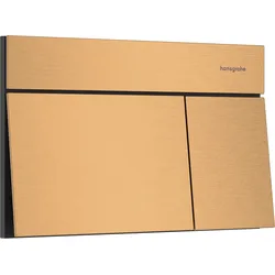 hansgrohe iFrame Element E Betätigungsplatte für 2-Mengen-Spülung, 66003140, Farbe: Brushed Bronze