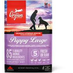Orijen Puppy Large Hundetrockenfutter 6 Kilogramm