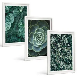 BILDER SET 3er Set - 40x60 cm Weißer Rahmen - Sukkulenten