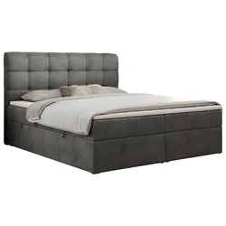 BOXBETT FAST 180/200 Dunkelgrau Velvet - H4
