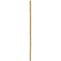 EUROPALMS Bambusrohr, Ø=5cm, 200cm