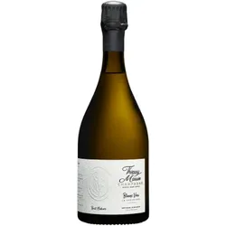 Champagner Thierry Massin - Blanc vrai La Chevêtrée