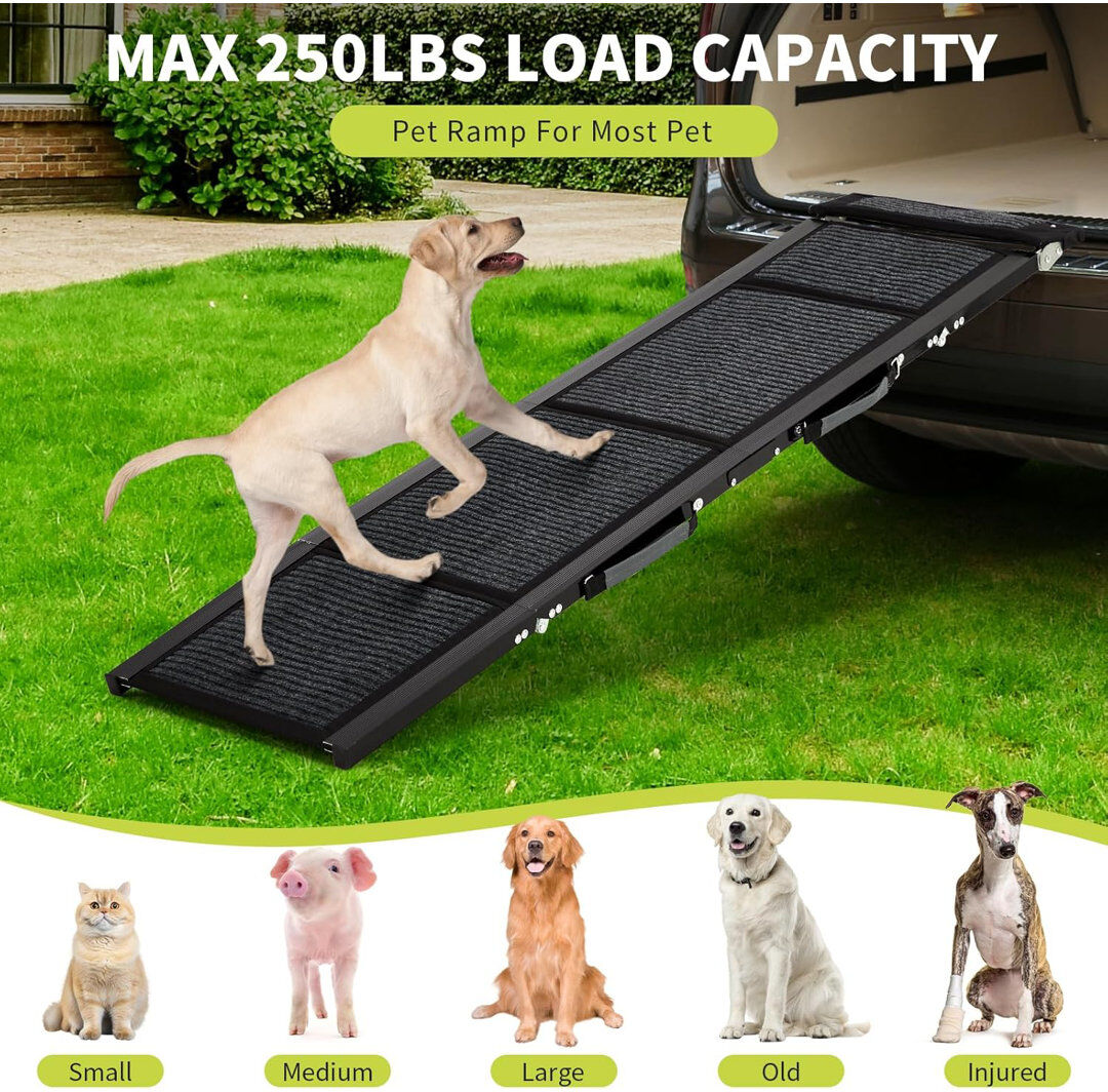 Archie & Oscar Collapsible Stairs Black 160cm H x 40cm W x 14cm D