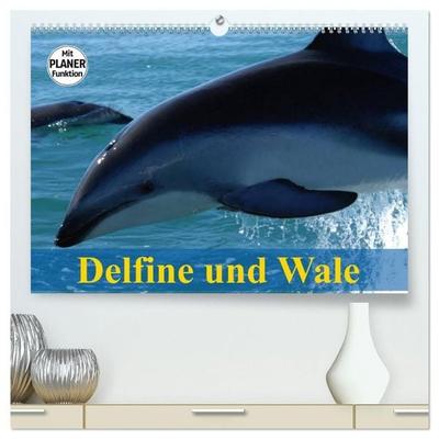 Delfine und Wale (hochwertiger Premium Wandkalender 2027 DIN A2 quer), Kunstdruck in Hochglanz