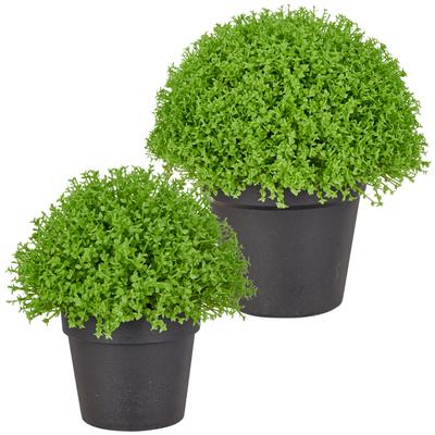 Kunstpflanze CREATIV GREEN "Halbkugel Selaginella apoda", grün, H:21cm, Obermaterial: 100% Kunststoff, Kunstpflanzen, Kunstpflanze, in kompakter Größe