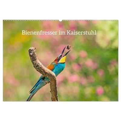 Bienenfresser im Kaiserstuhl (Wandkalender 2027 DIN A2 quer), CALVENDO Monatskalender