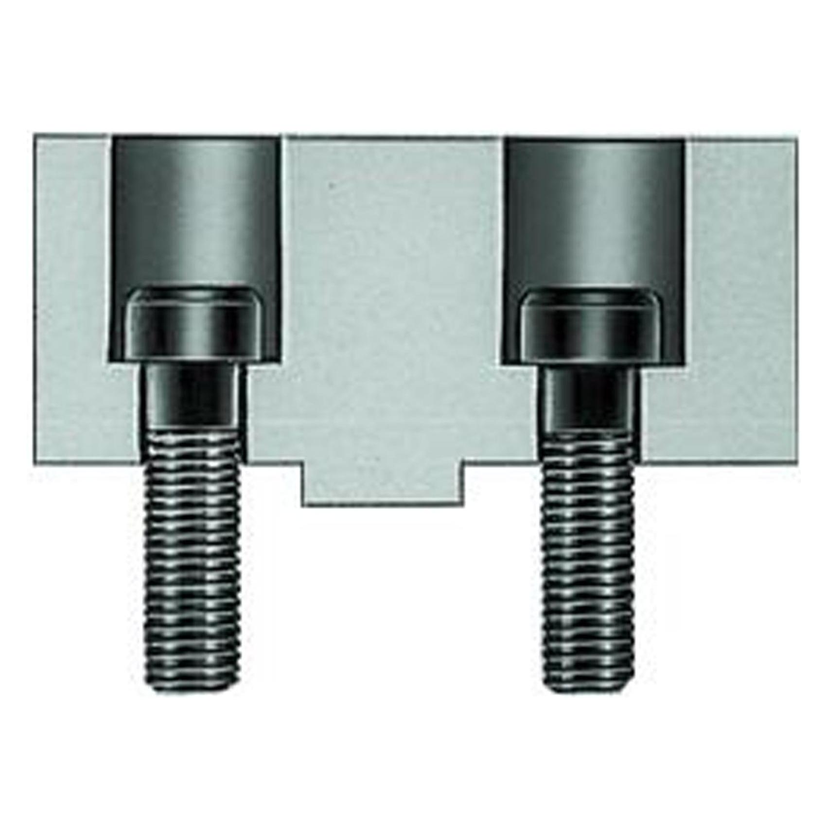 Magni Schraube für Aufsatzbacke Gr.315mm M12x30 RÖHM (233030)