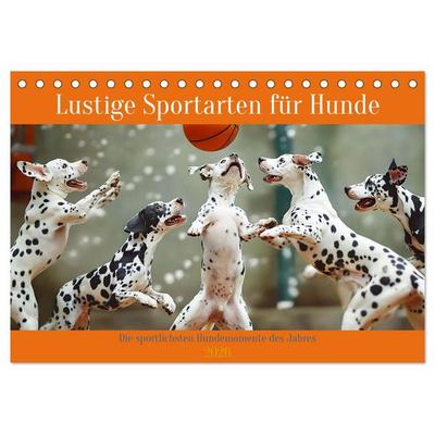 Lustige Sportarten für Hunde (Tischkalender 2026 DIN A5 quer), CALVENDO Monatskalender
