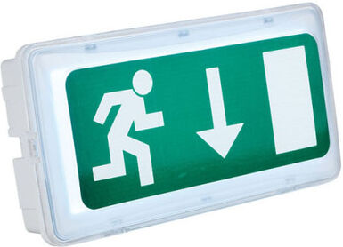 Showtec Safeled Emergencylight