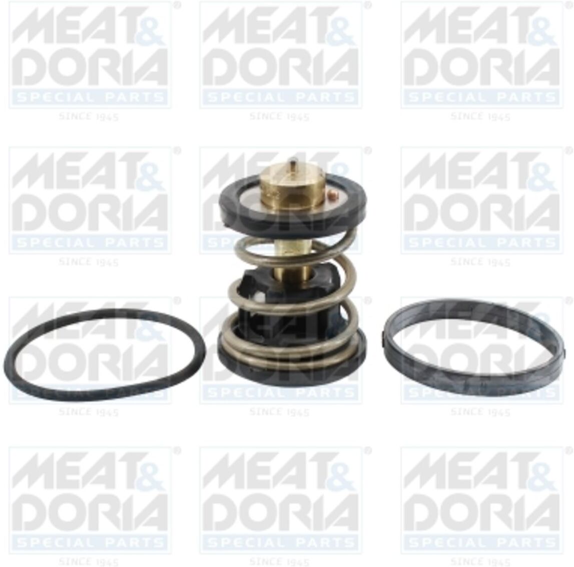 Thermostat d'eau Meat & Doria 92971