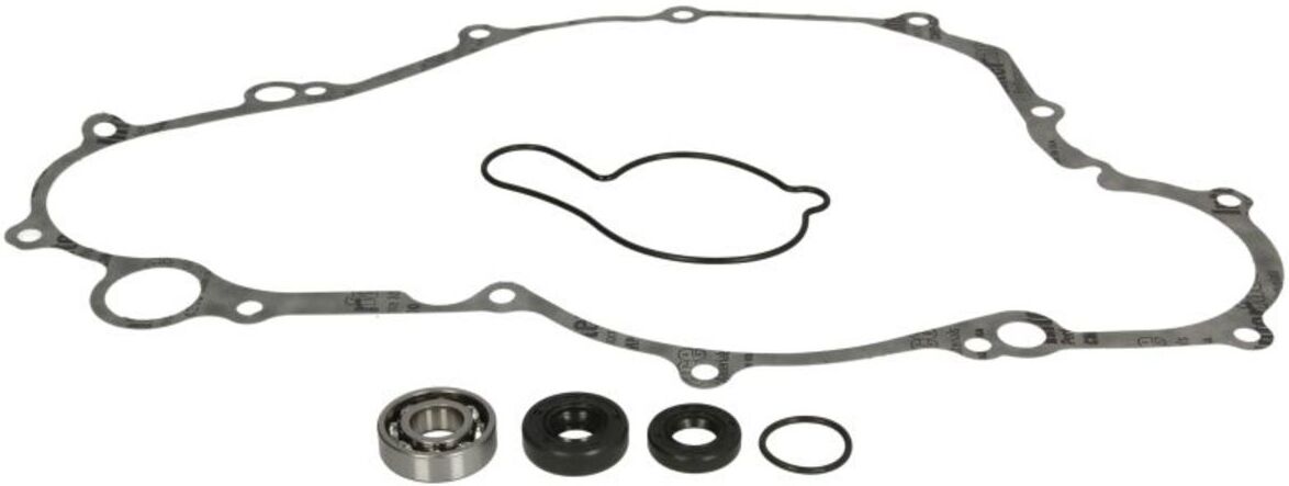 Pompe à eau WINDEROSA W821869