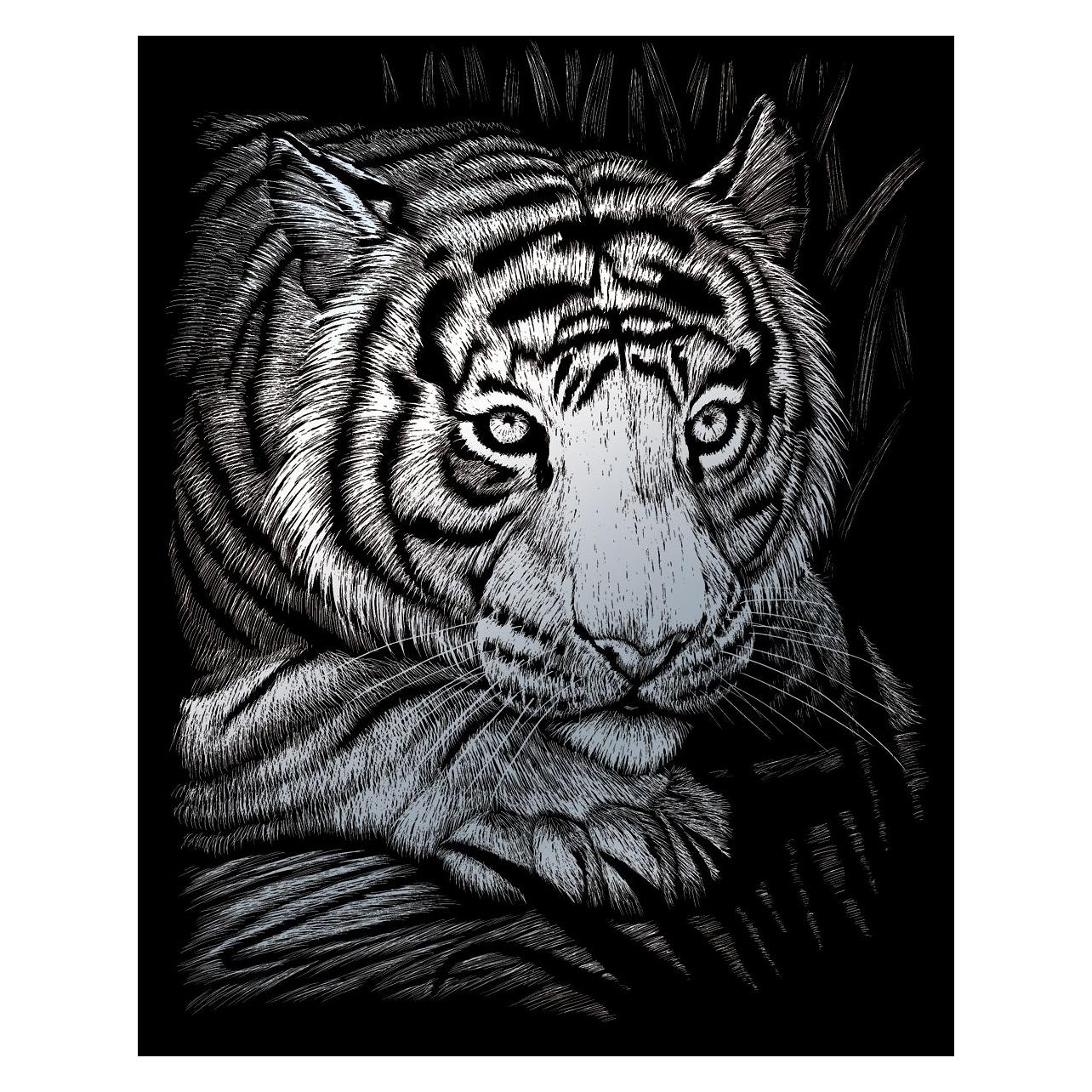 Pracht Kratzbilder Weisser Tiger (69413308)