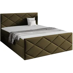 BOXBETT Herkules - H3