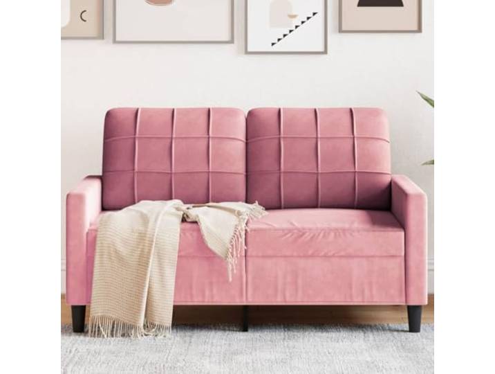 HEFZGDB 2-Sitzer Sofa Rosa 120 cm Samt Stoffbezug Modernes Wohnzimmer Sofa Bequem mit Metallgestell Weiche Polsterung Entspannen Lesen Fernsehen Stabiles Design Hingucker