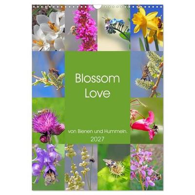 Blossom Love, von Bienen und Hummeln (Wandkalender 2027 DIN A3 hoch), CALVENDO Monatskalender