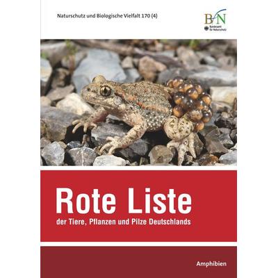 NaBiV Heft 170/4 Rote Liste der Tiere, Pflanzen und Pilze Deutschlands - Amphibien, Paperback von , Landwirtschaftsvlg Münster, 978-3-7843-3774-6