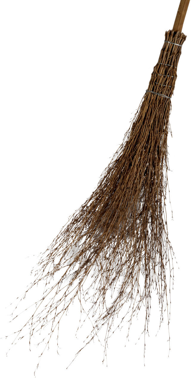 Floraworld Reisigbesen mit Stiel 25 cm Arbeitsbreite