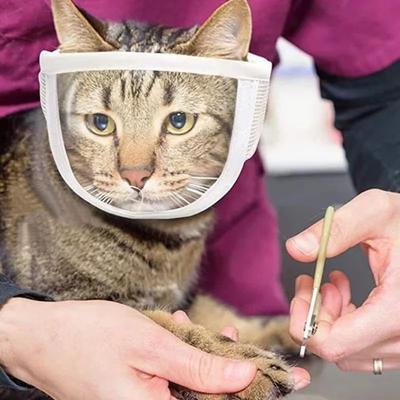 Inspire Curations ClearCalm Pet Muzzle Transparent Cat Muzzle & Breathable Anti Bite Grooming Mask For Cats And Small Dogs ClearCalm Pet Muzzle Transparent Cat Muzzle & Breathable Anti Bite Grooming Mask For Cats And Small Dogs