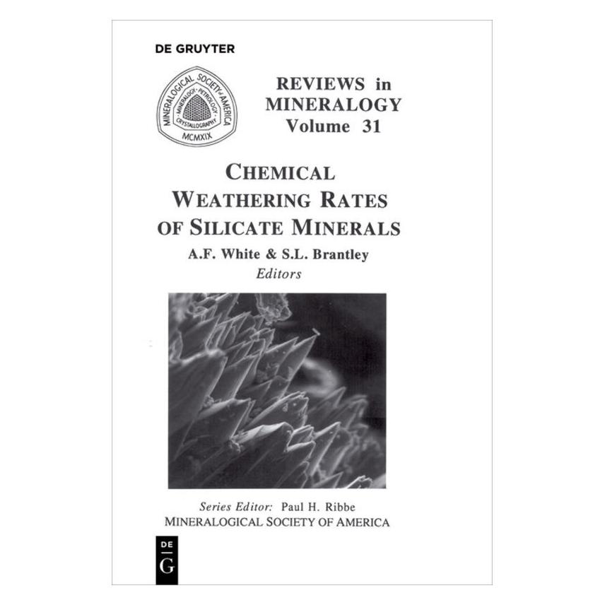 De Gruyter Chemical Weathering Rates of Silicate Minerals (Englisch, Softcover, Arthur F. White, Susan L. Brantley) (55984741)