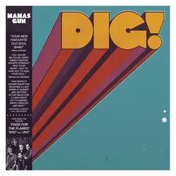 Dig!, Schallplatten