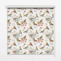 INNENROLLO - Fensterrollo - Rollo - 150x140 cm - Vögel auf den Ästen