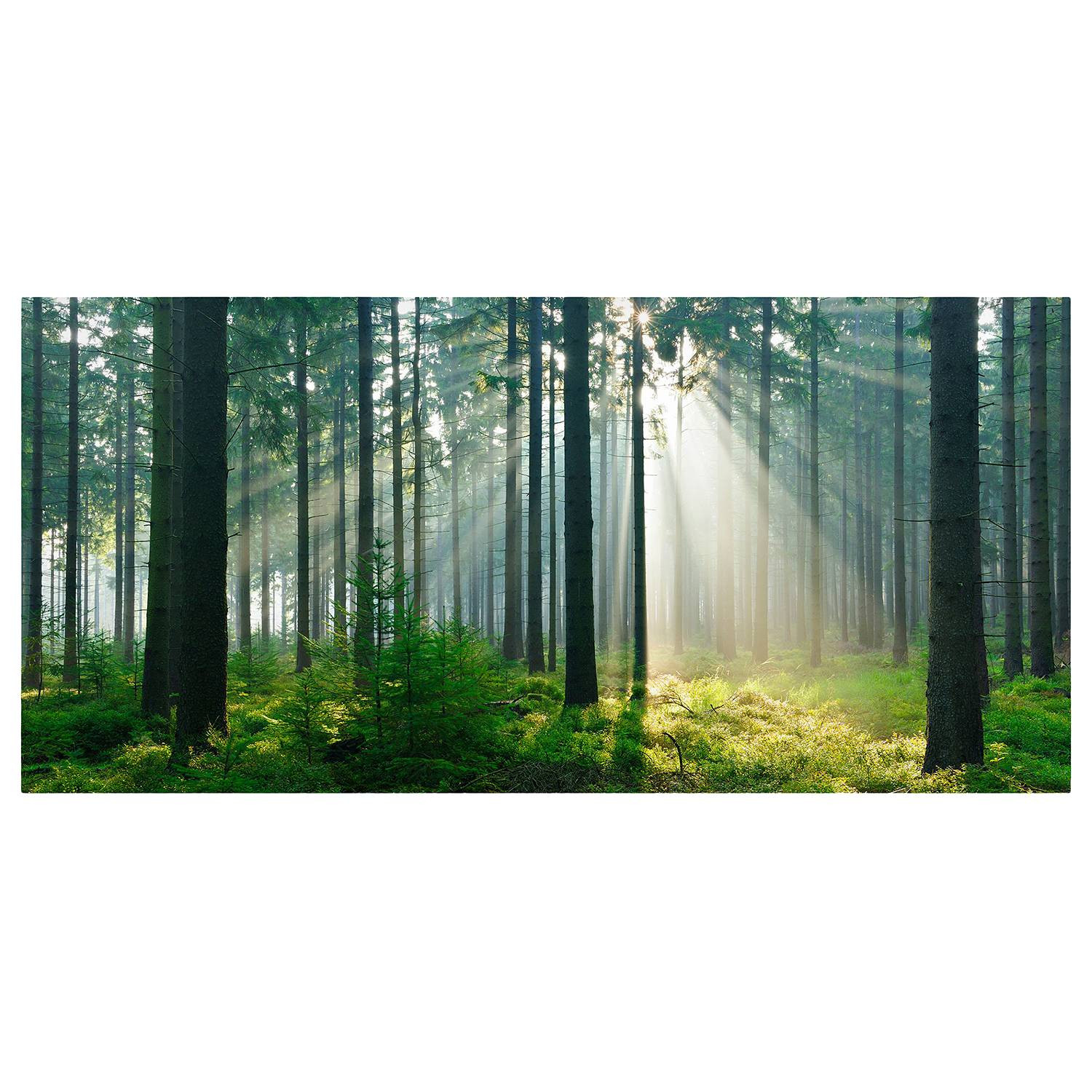 home24 Magneetbord Enlightened Forest groen, gelakt staal en vinyl-folie, B: 78 cm, D: 37 cm, H: 2 cm