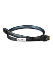 Icy Dock We-Ra. SlimSAS 4i 38 pin SFF-8654 to Slim-Gehäuse (MB323L-B)
