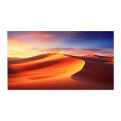 celexon Rahmenleinwand Expert PureWhite 280 x 175 cm