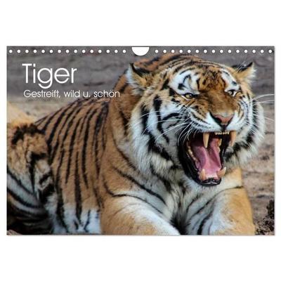 Tiger. Gestreift, wild u. schön (Wandkalender 2027 DIN A4 quer), CALVENDO Monatskalender