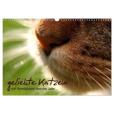 geliebte Katzen - auf Samtpfoten durchs Jahr (Wandkalender 2027 DIN A3 quer), CALVENDO Monatskalender