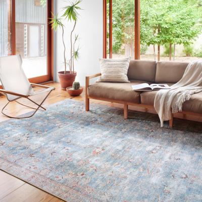 Alexander Home Sophia Printed Shabby Chic Area Rug