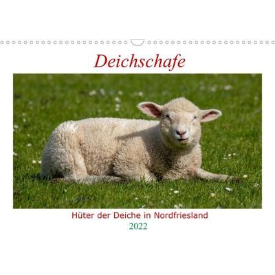 Deichschafe (Wandkalender 2022 DIN A3 quer)