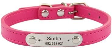 Uplifted Finds Heritage Elite Personalized Vegan Leather Collar rose Red l
